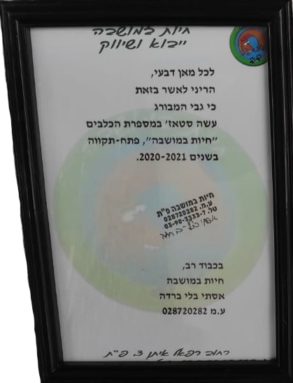 תעודת הסמכה נוספת
