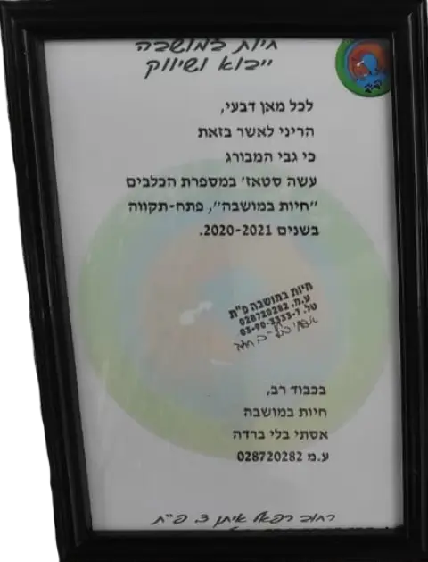 תעודת הכשרה נוספת של גבי המבורג